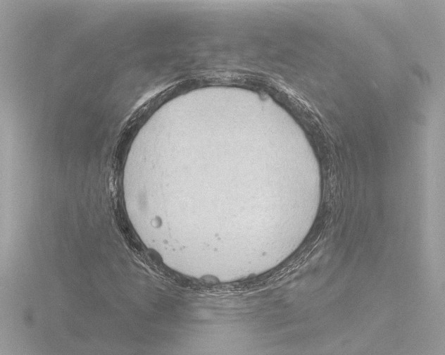 X0000116151206200912211502