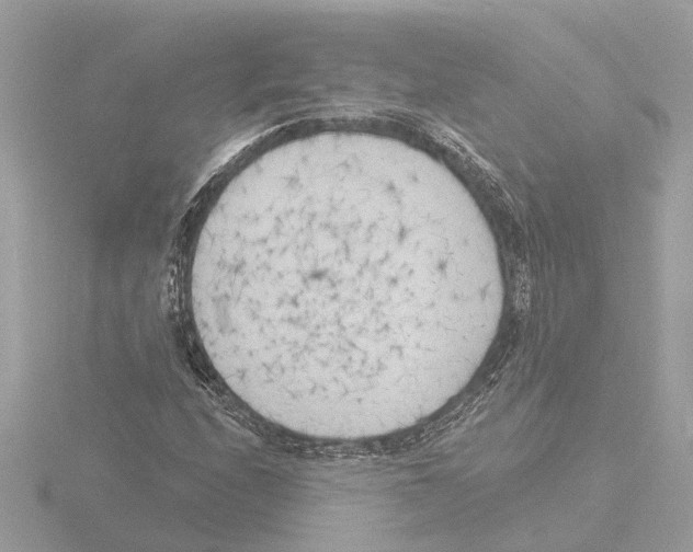 X0000116151208200912211502