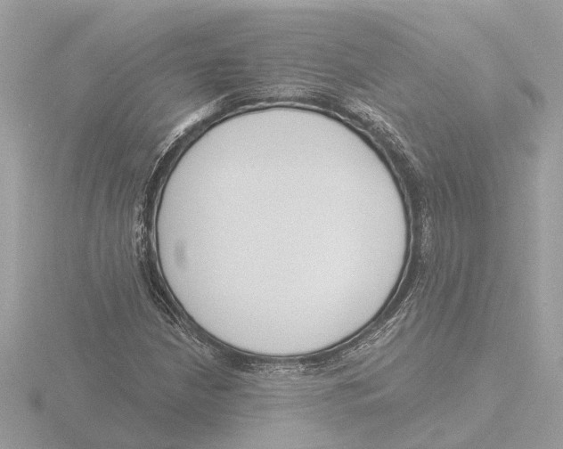 X0000116151210200912211502