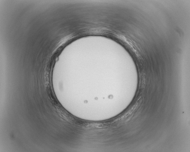 X0000116151211200912211502