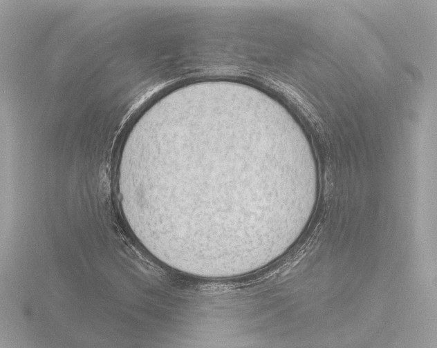 X0000116151212200912211502