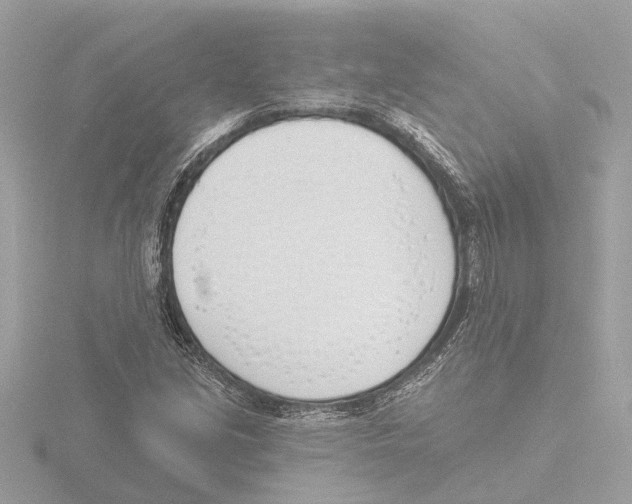 X0000116151213200912211502