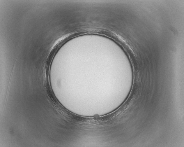 X0000116151214200912211502