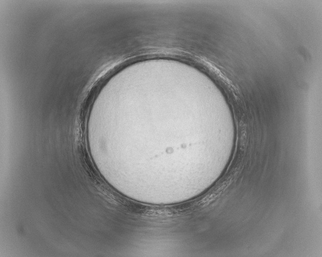 X0000116151215200912211502