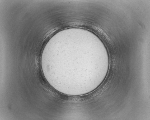 X0000116151217200912211502