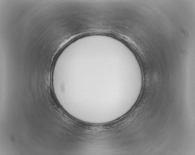 X0000116151220200912211502