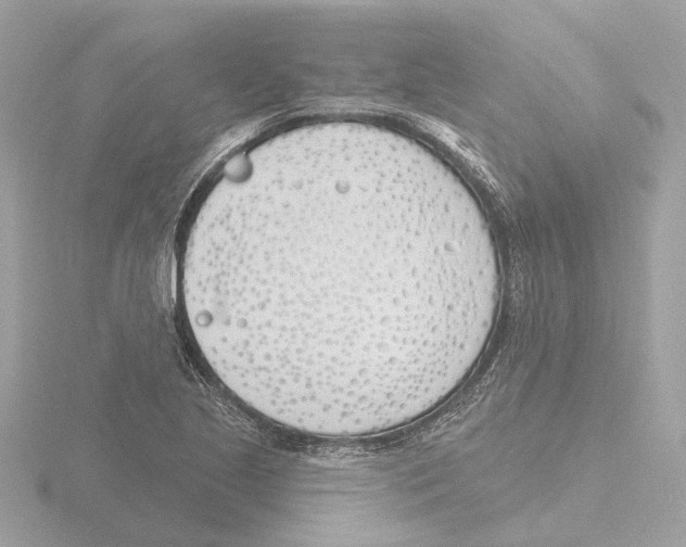 X0000116151221200912211502