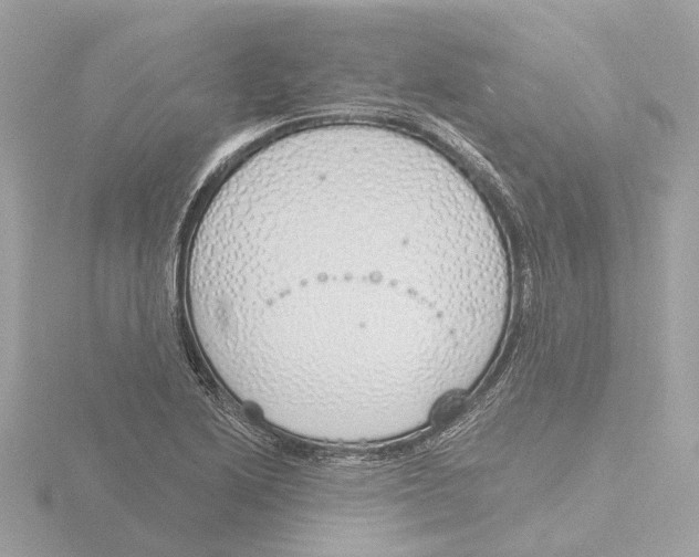 X0000116151222200912211502