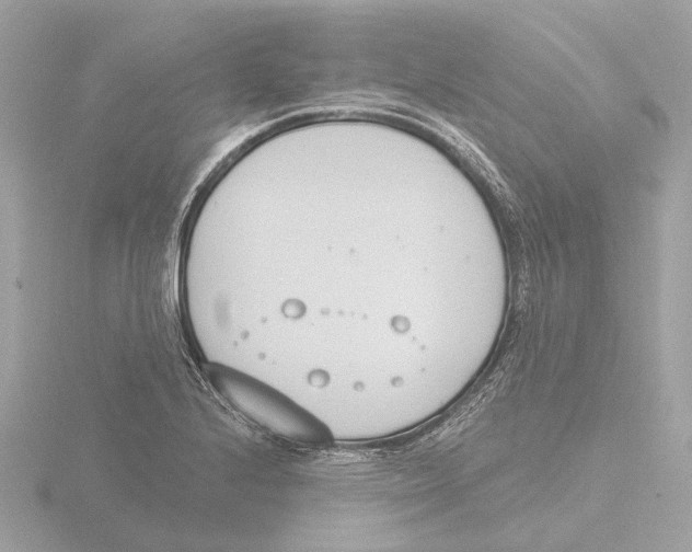 X0000116151224200912211502