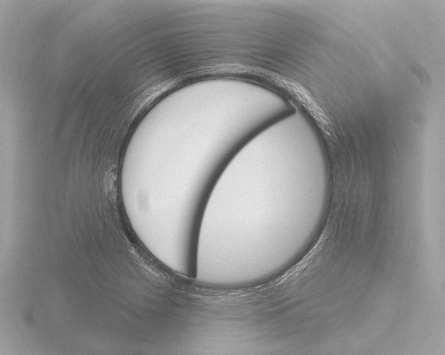 X0000116151225200912211502