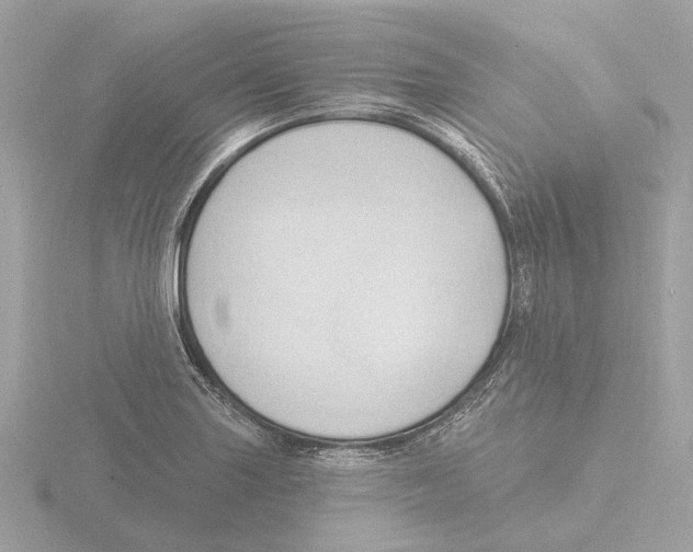 X0000116151227200912211502