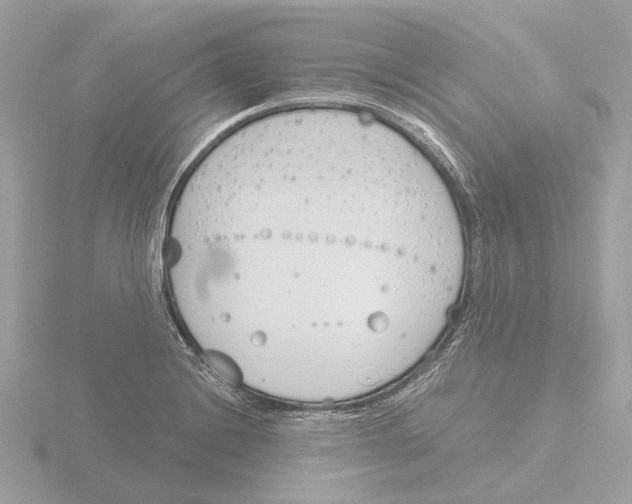 X0000116151228200912211502