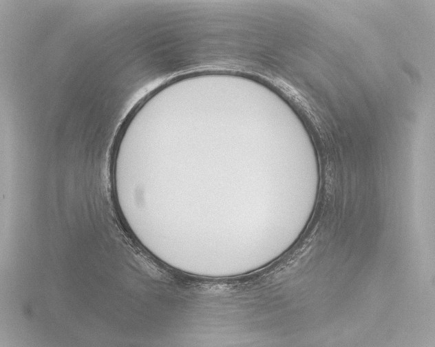 X0000116151230200912211502