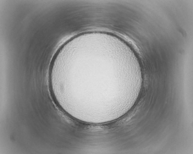 X0000116151231200912211502