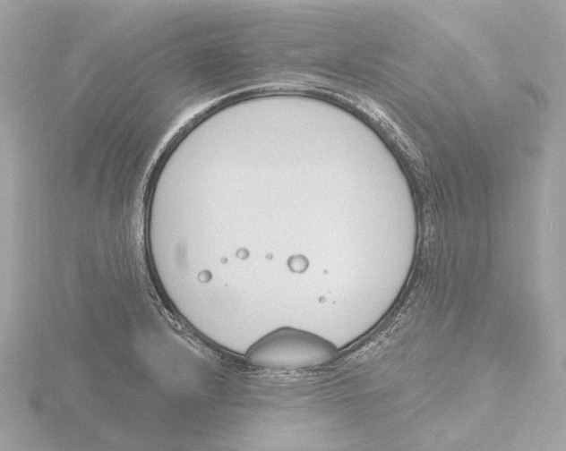 X0000116151232200912211502