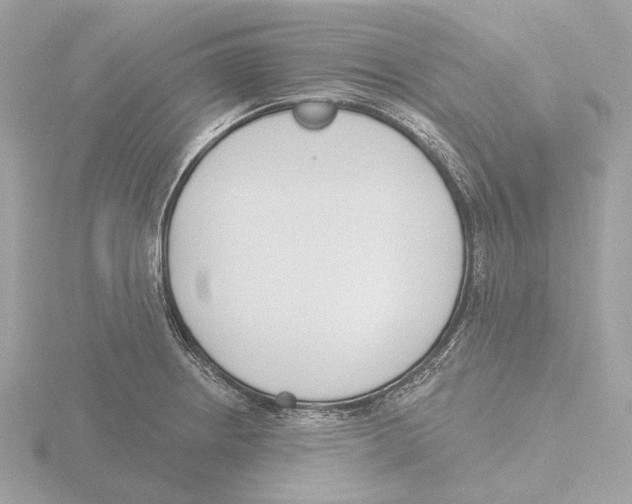 X0000116151234200912211502