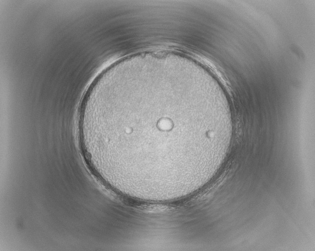 X0000116151235200912211502