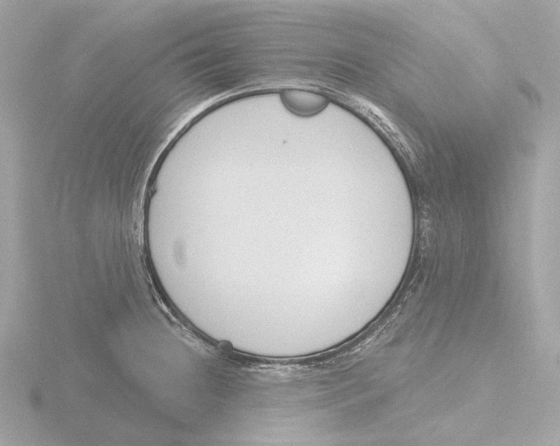 X0000116151236200912211502