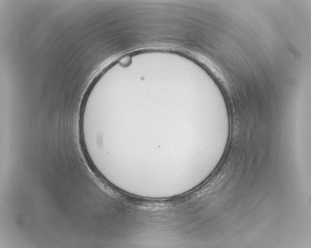 X0000116151237200912211502