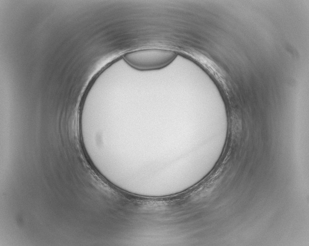 X0000116151238200912211502