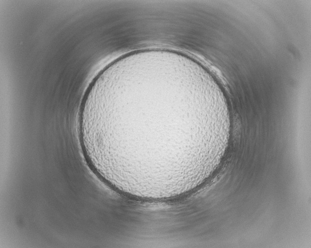 X0000116151239200912211502