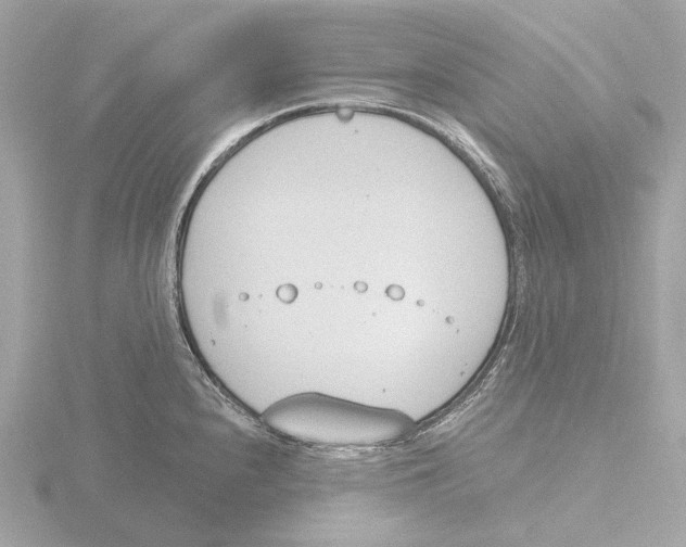 X0000116151240200912211502