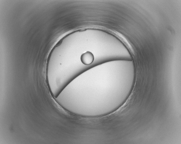 X0000116151244200912211502