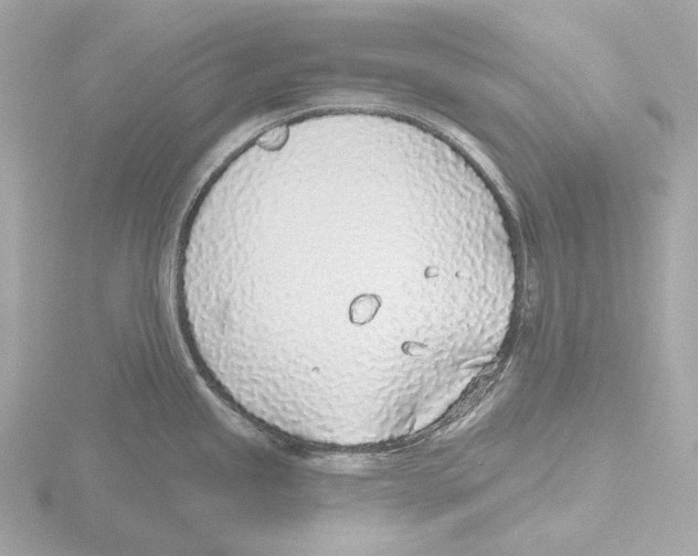 X0000116151245200912211502