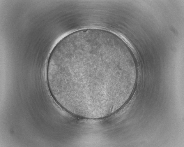 X0000116151246200912211502