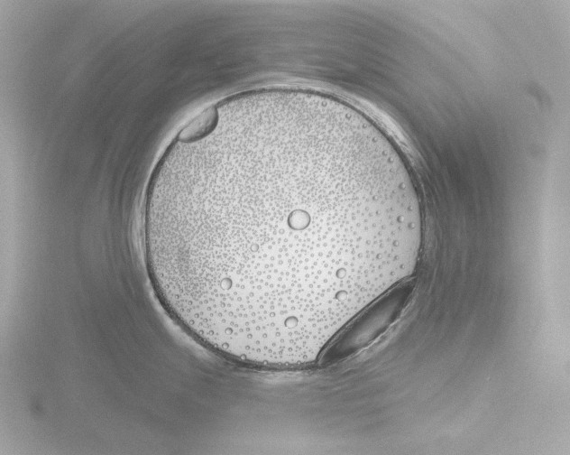 X0000116151247200912211502