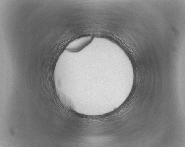 X0000116151249200912211502