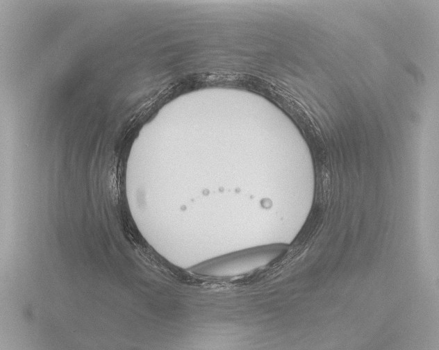 X0000116151250200912211502