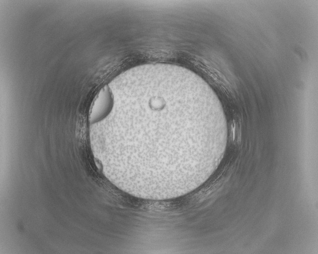 X0000116151251200912211502