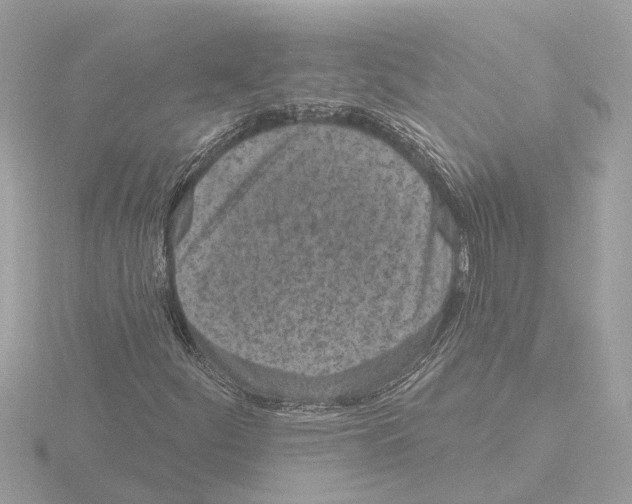 X0000116151252200912211502