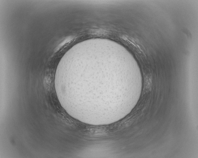 X0000116151254200912211502