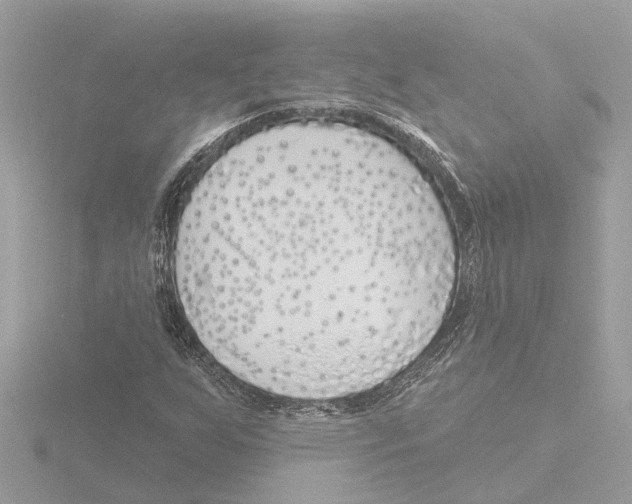 X0000116151255200912211502