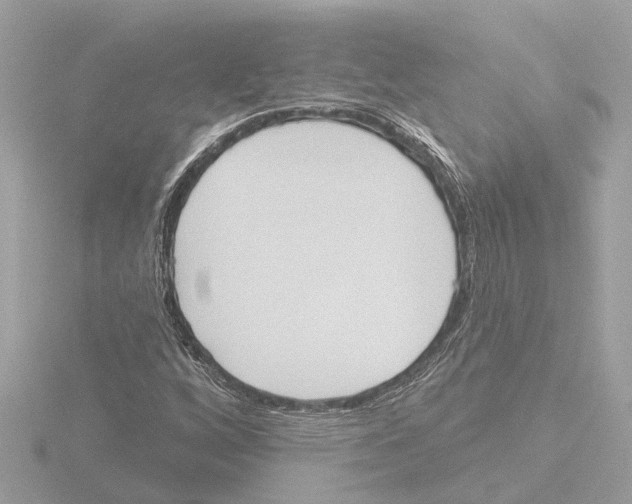 X0000116151256200912211502