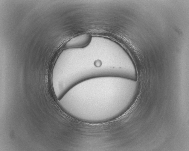 X0000116151257200912211502