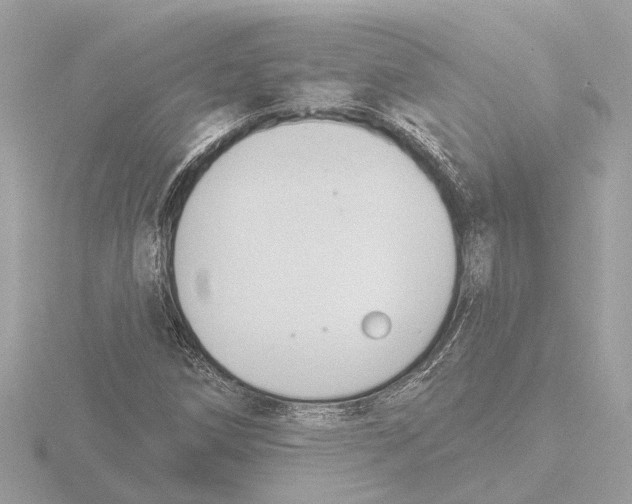 X0000116151258200912211502