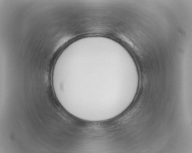 X0000116151259200912211502