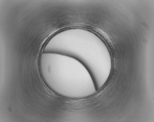 X0000116151260200912211502