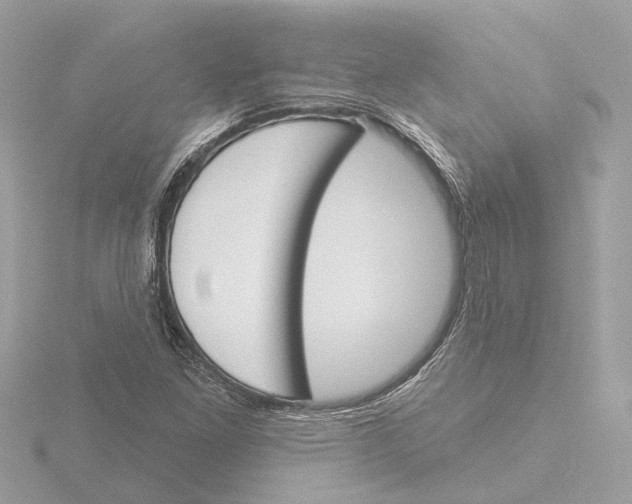 X0000116151261200912211502