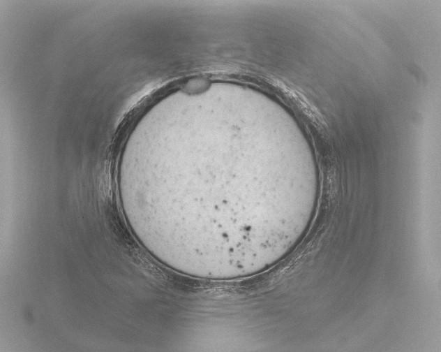 X0000116151262200912211502