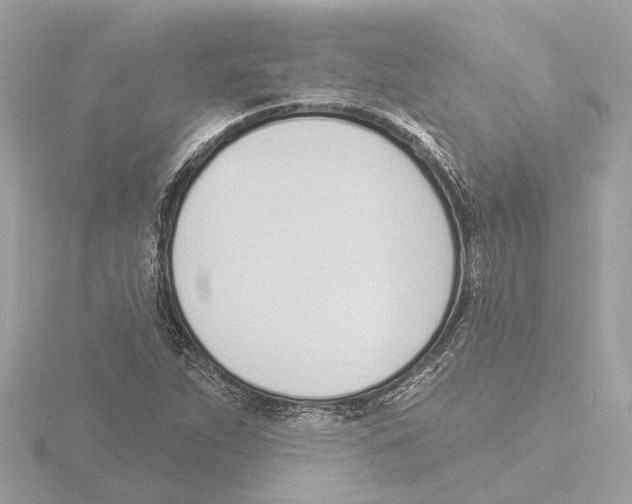 X0000116151263200912211502