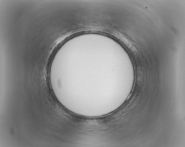 X0000116151264200912211502