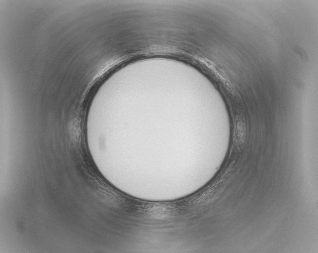 X0000116151266200912211502