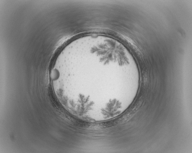 X0000116151267200912211502