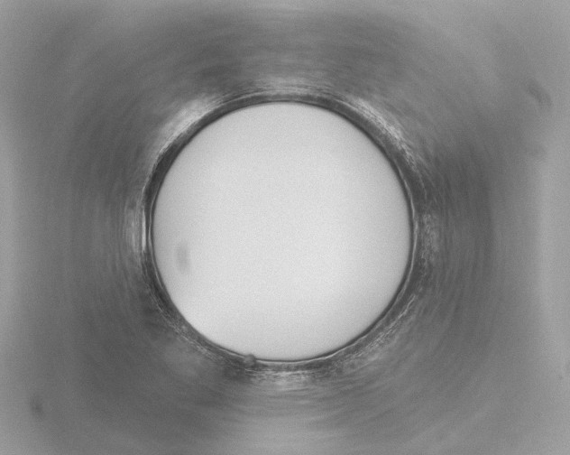 X0000116151269200912211502