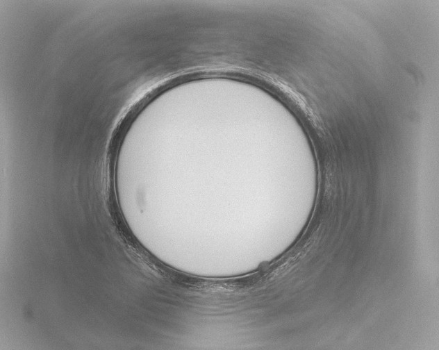 X0000116151270200912211502