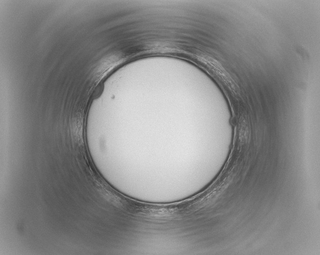 X0000116151273200912211502